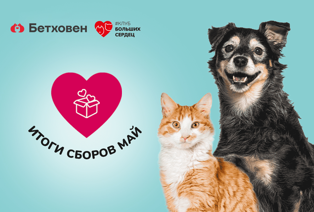 Итоги сборов благотворительности в мае