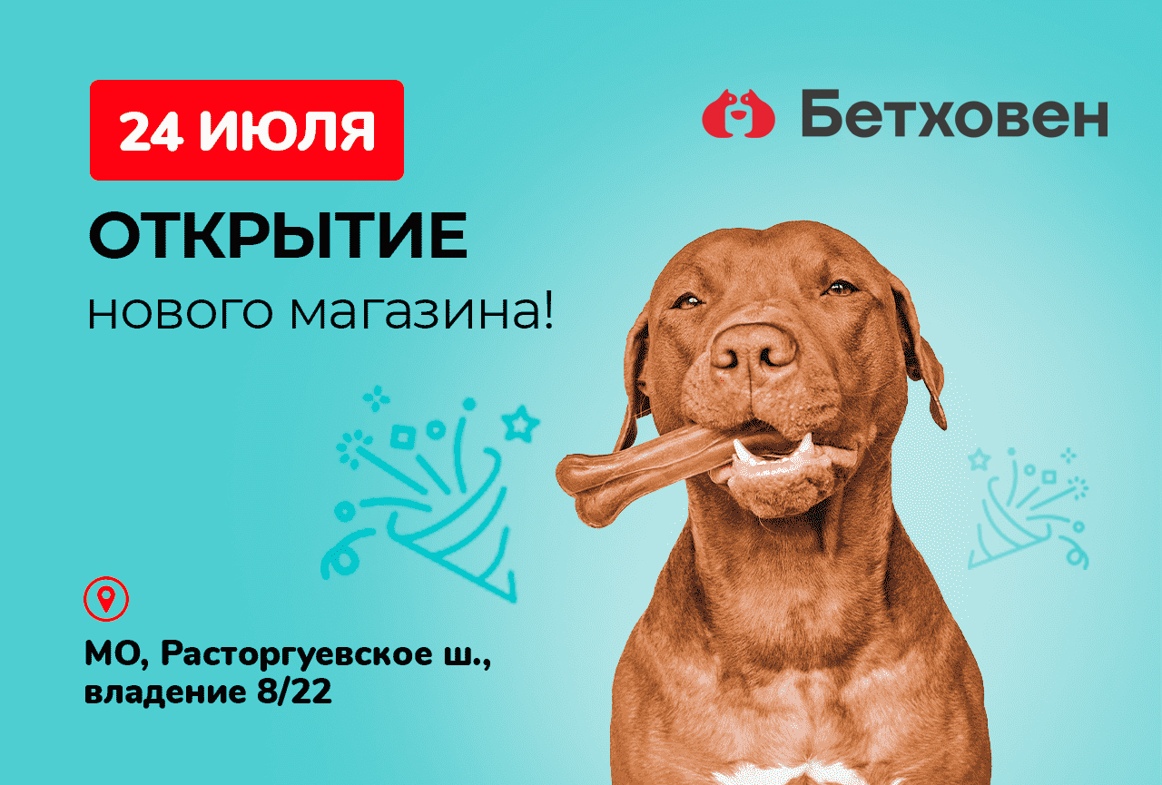 Открытие нового магазина «Бетховен»