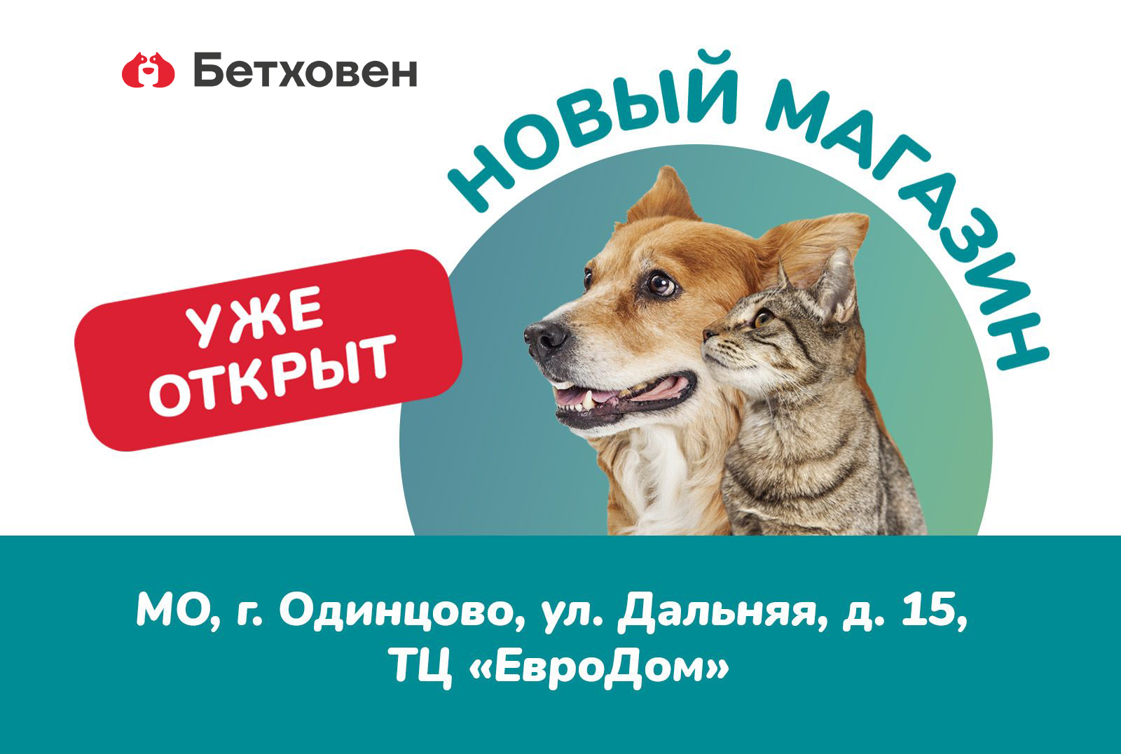 Открытие нового магазина "Бетховен"