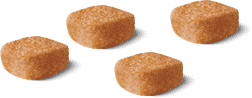 Изображение корма
