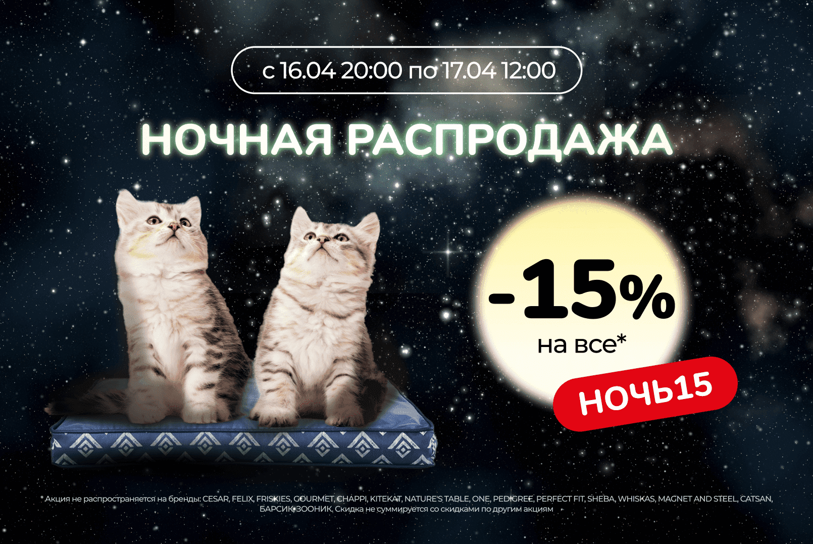 Ночная распродажа в интернет-магазине и мобильном приложении Бетховен!