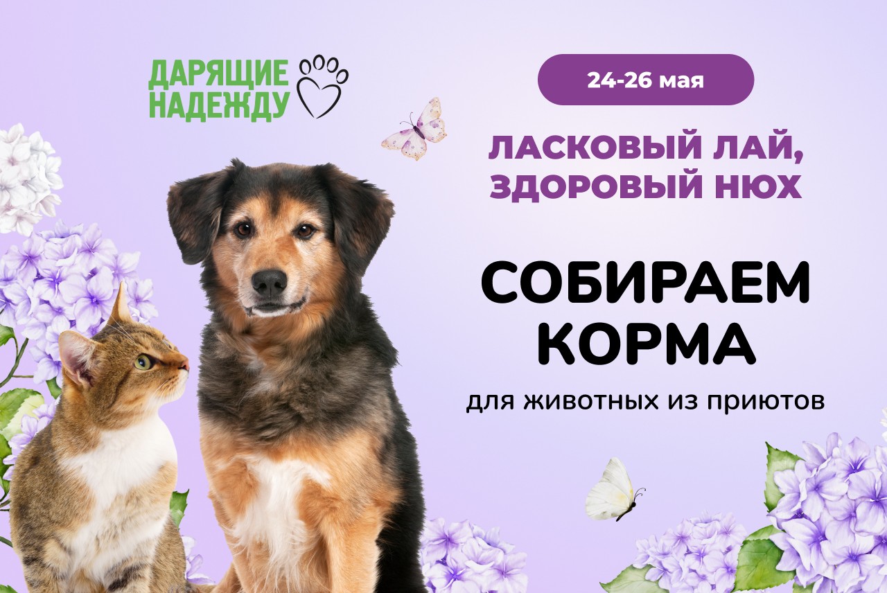 Благотворительная акция "Ласковый лай, здоровый нюх!"