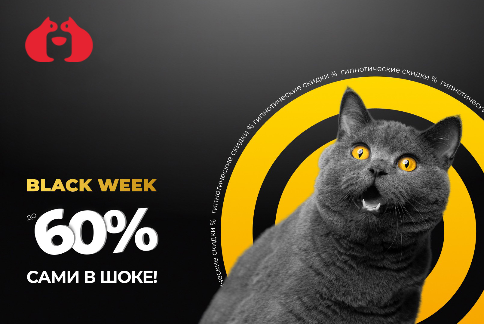 Black Week в Бетховен!