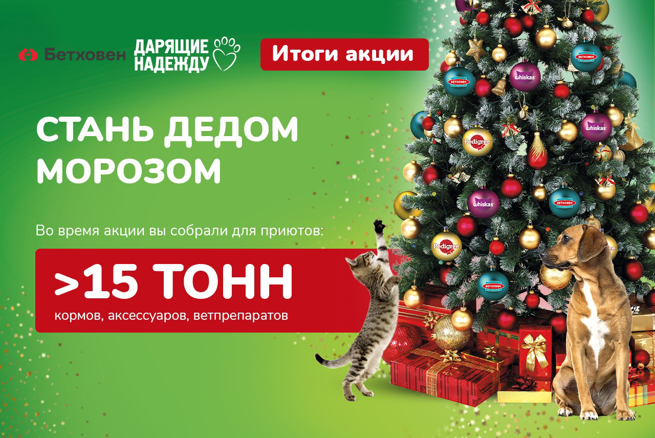 Завершение акции "Стань Дедом Морозом"