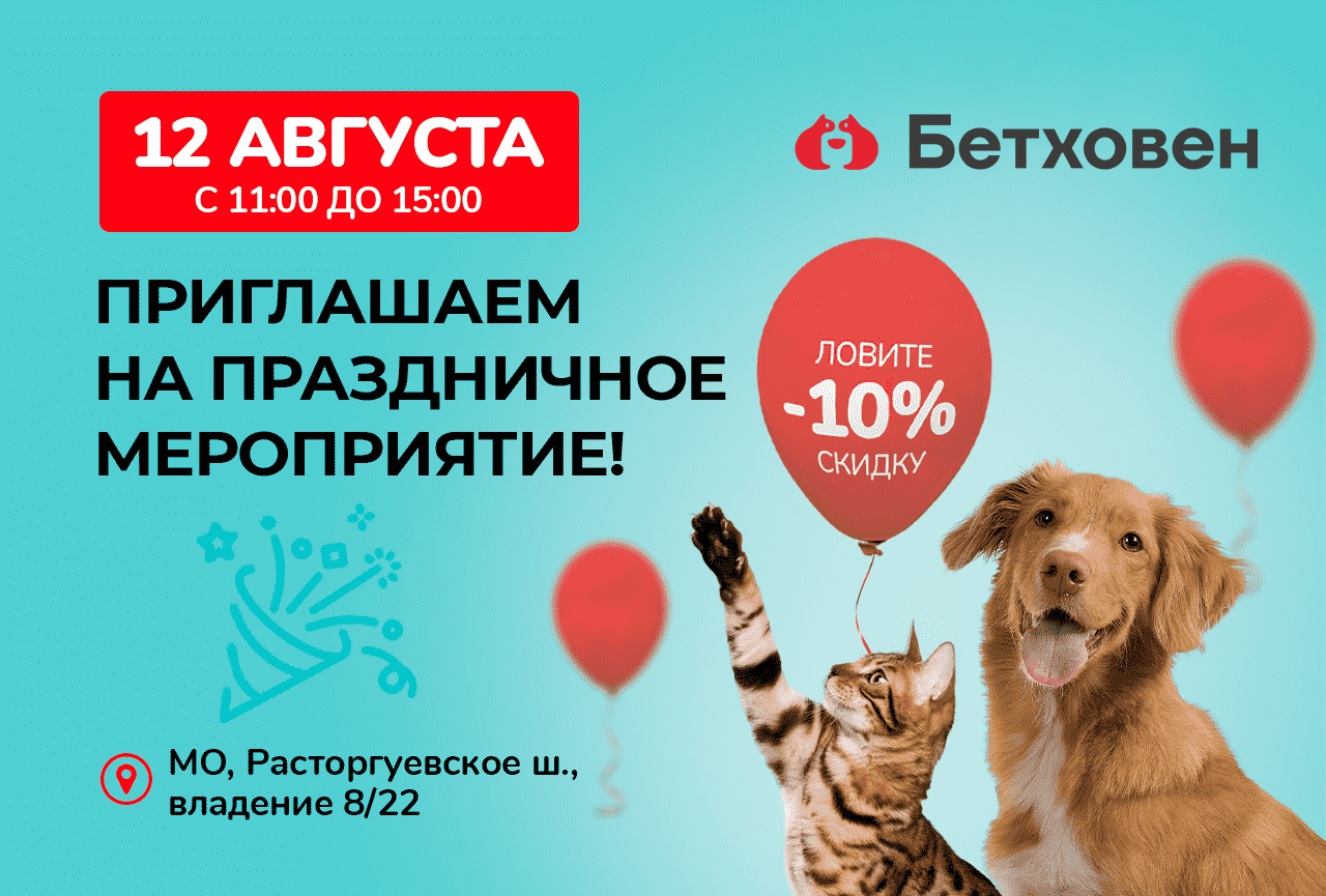 Торжественное открытие магазина