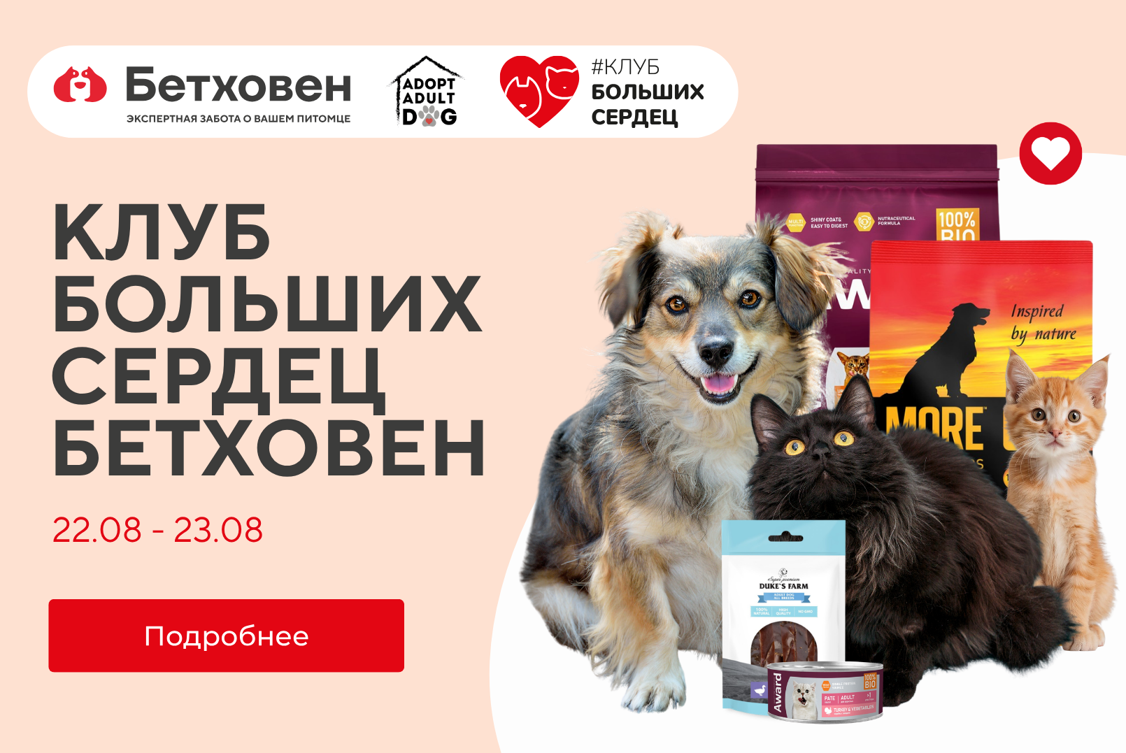 Клуб больших сердец Бетховен