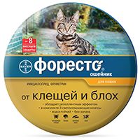Ошейники