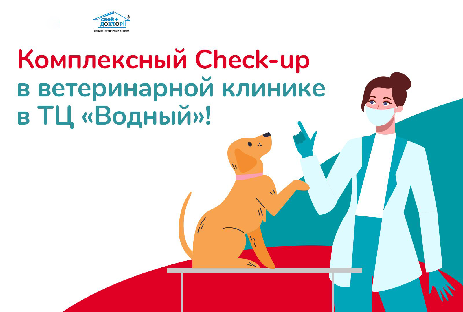 Комплексное обследование питомца за один день в ветеринарной клинике в ТЦ «Водный»!