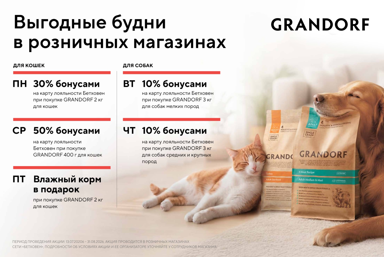Выгодные будни с GRANDORF!