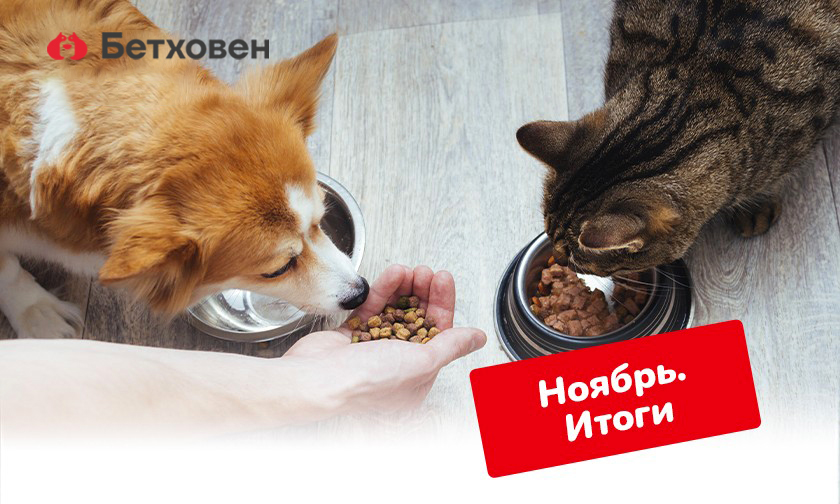Отчет по благотворительной акции в ноябре