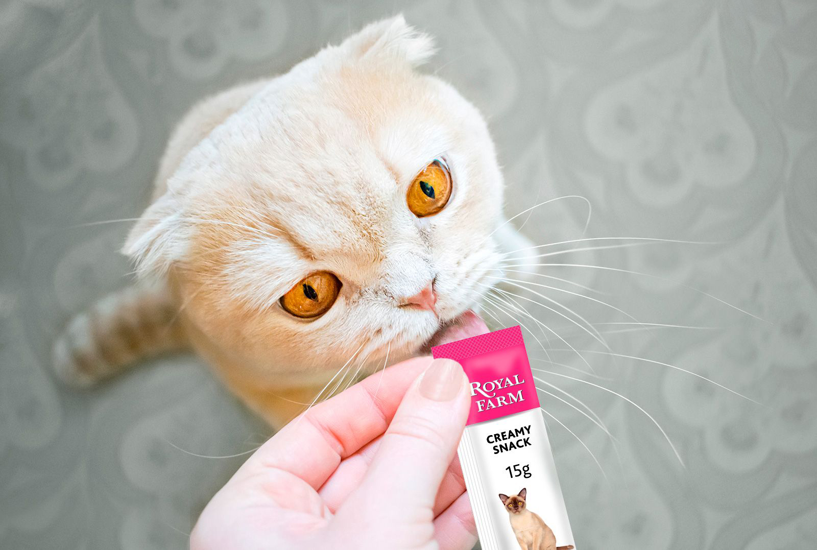Котябрь в "Бетховене"!