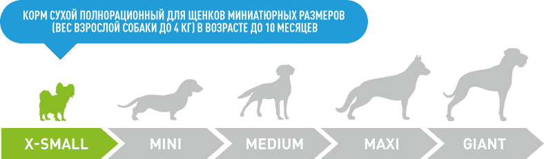 dogs