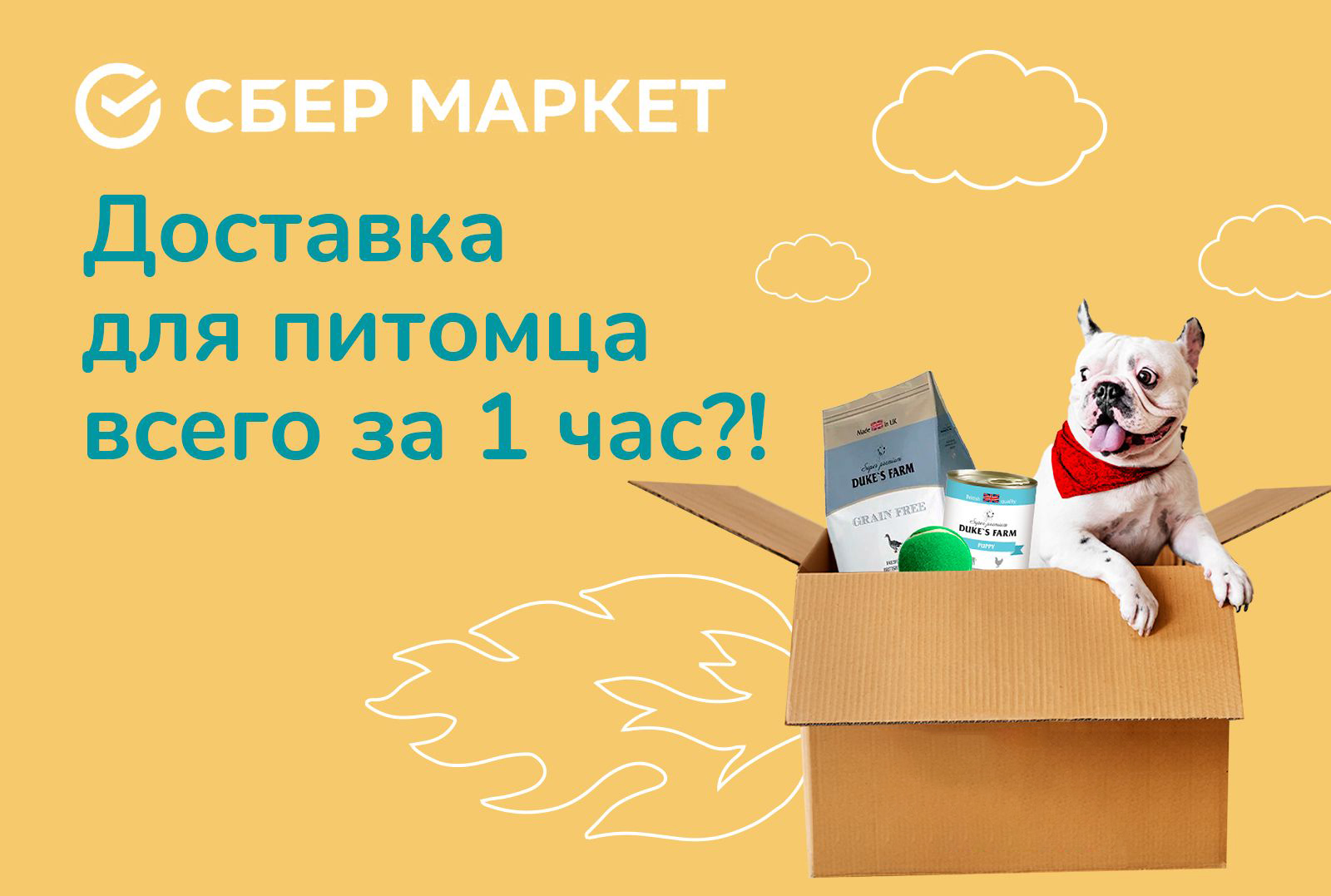 Москве заработала экспресс-доставка зоотоваров