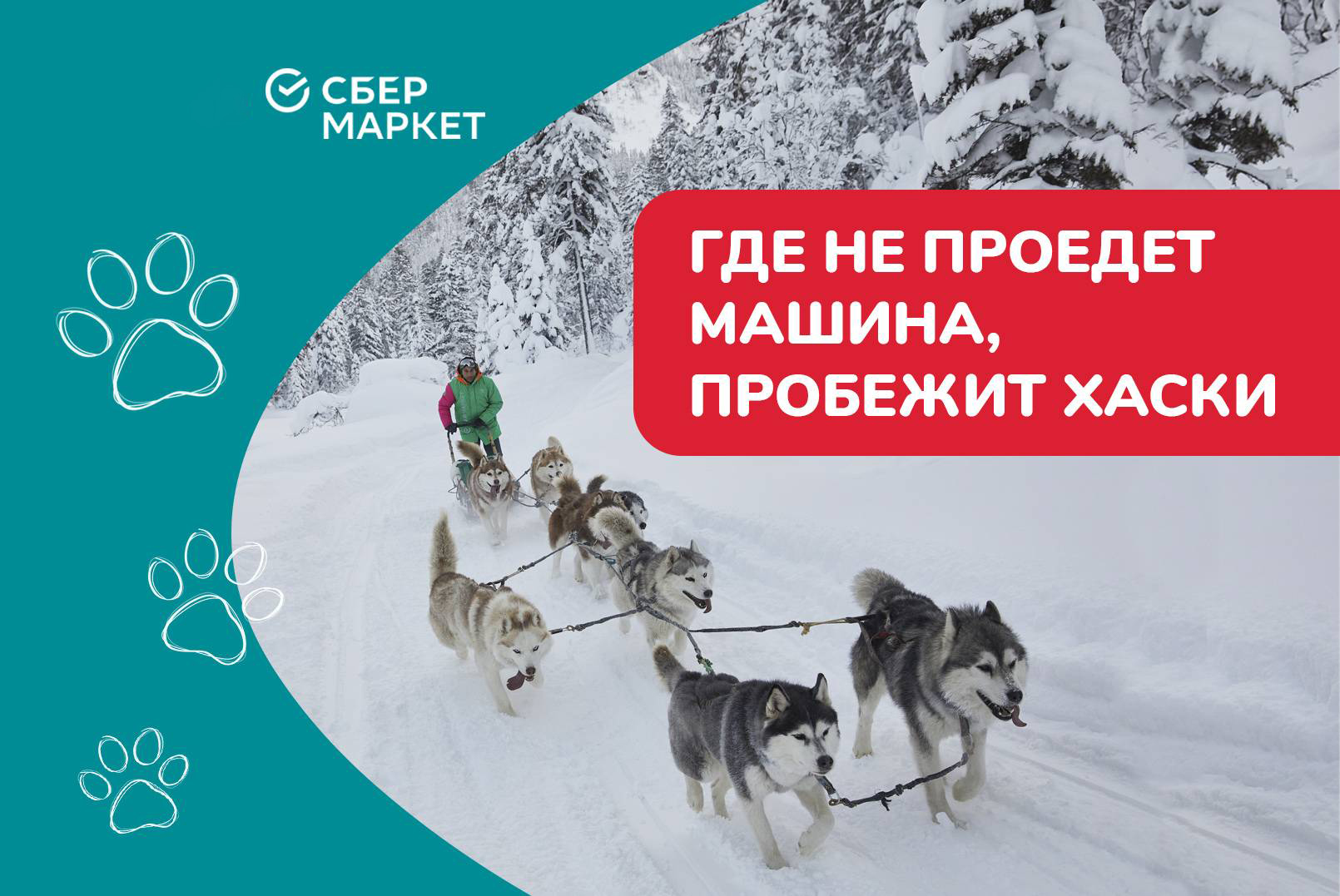 Где не проедет машина, пробежит хаски