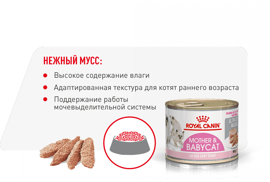 инфо