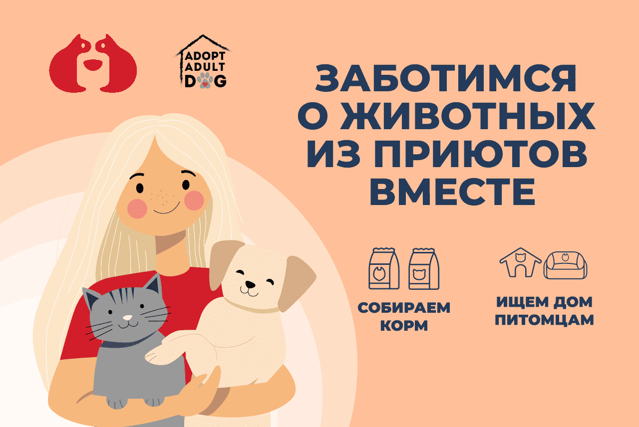 Благотворительная акция "Клуб больших сердец"