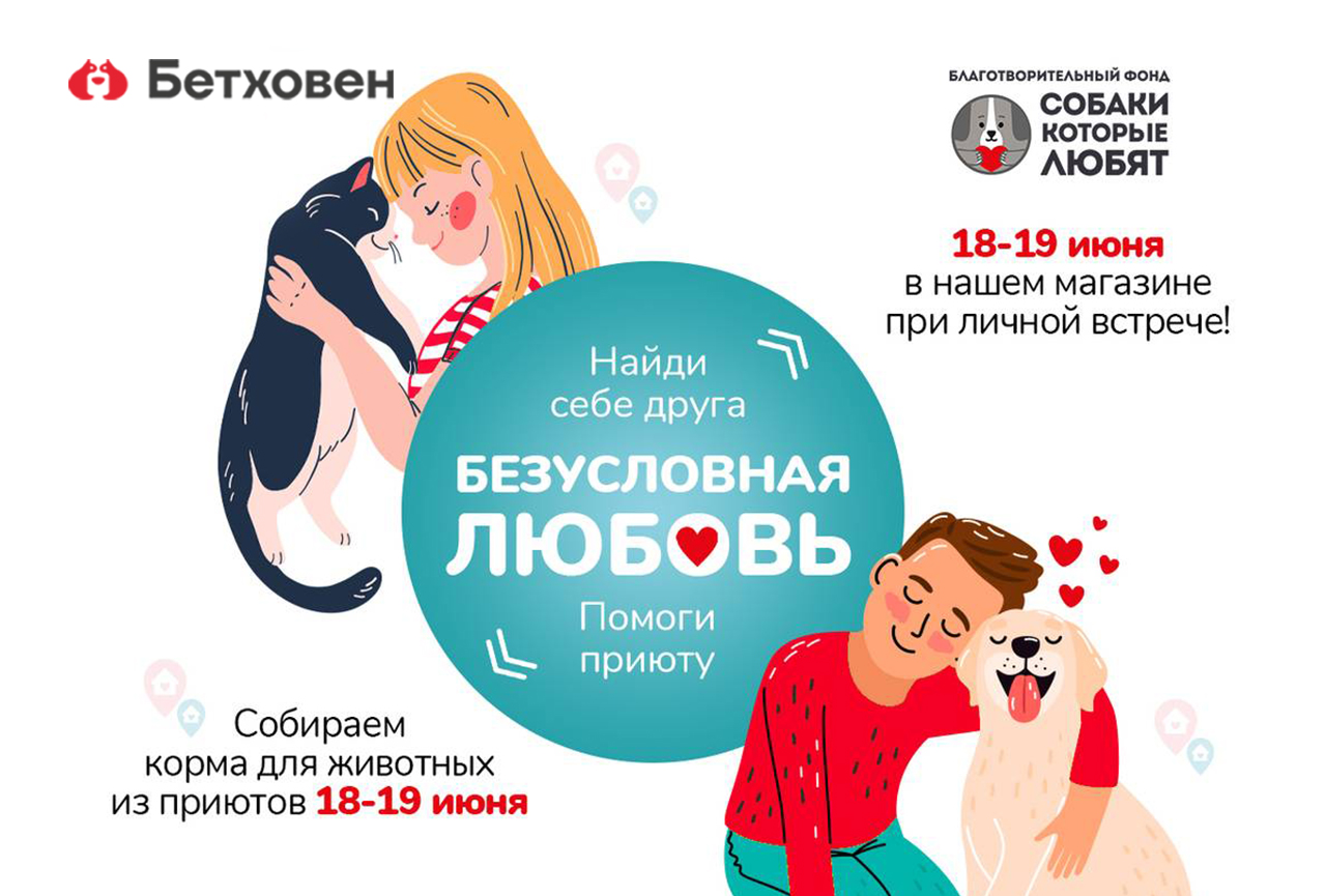 Выставка-пристройство «Найди друга»