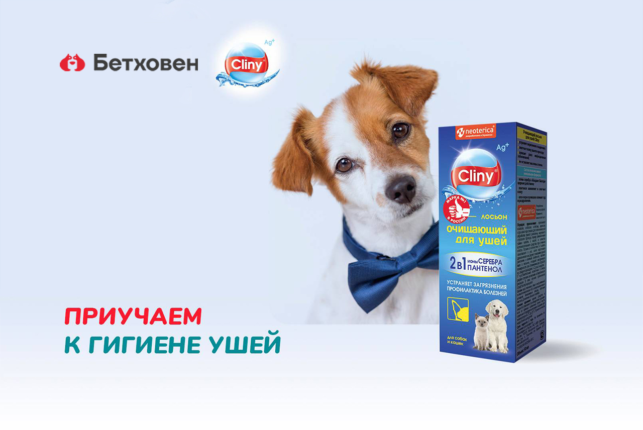 Приучаем к гигиене ушей
