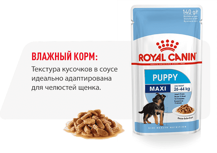 инфо