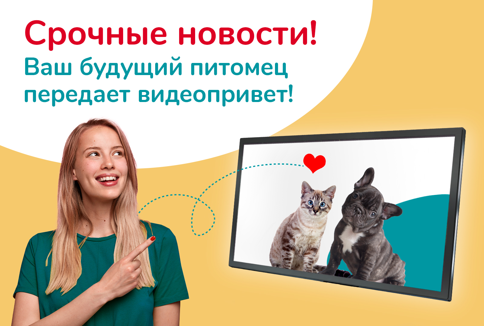 В сети «Бетховен» появятся видеоэкраны