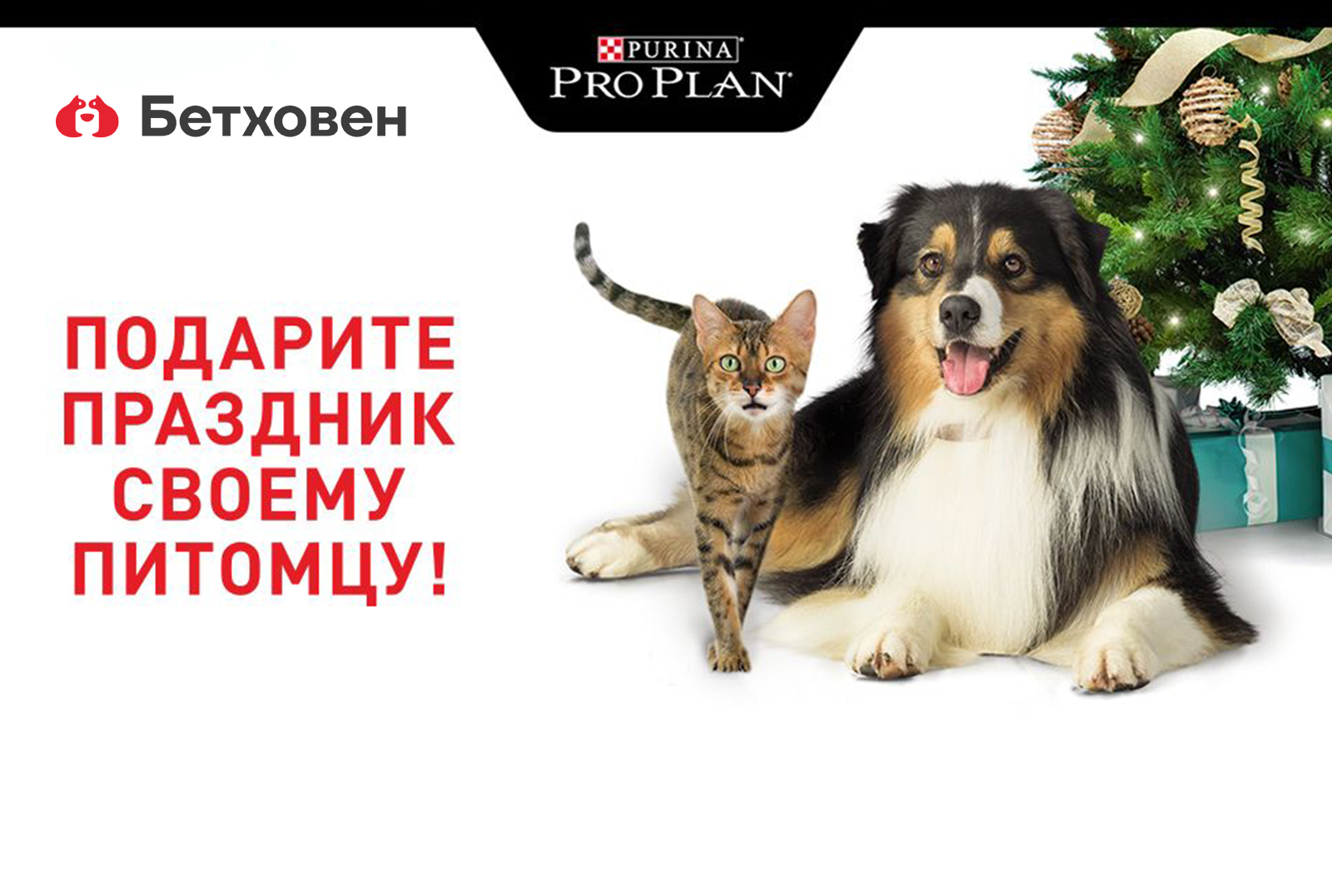 Акция "Подари праздник своему питомцу" завершена! 