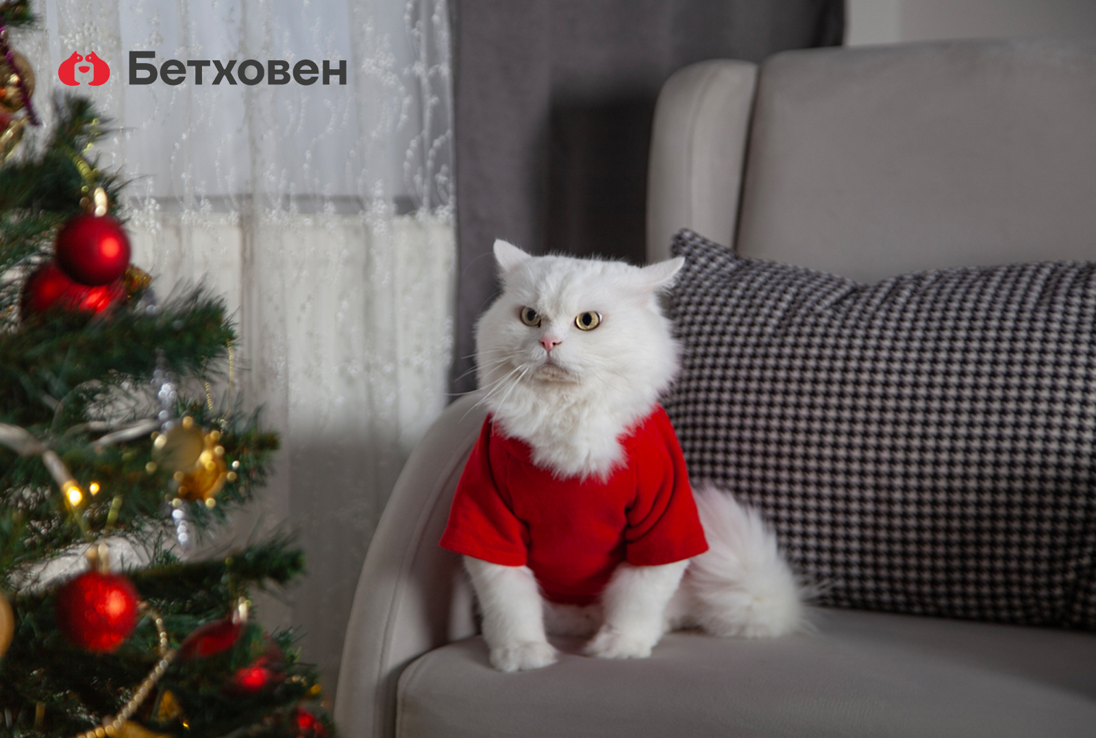 Новый год без забот!
