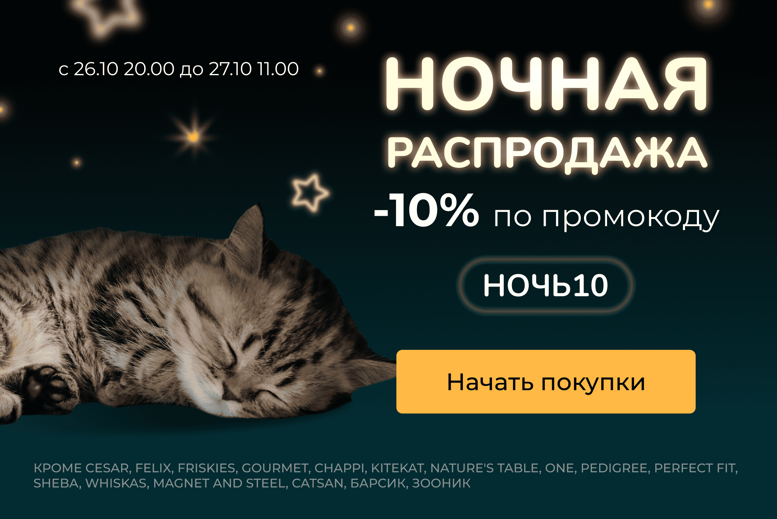Ночная распродажа в интернет-магазине и мобильном приложении Бетховен!