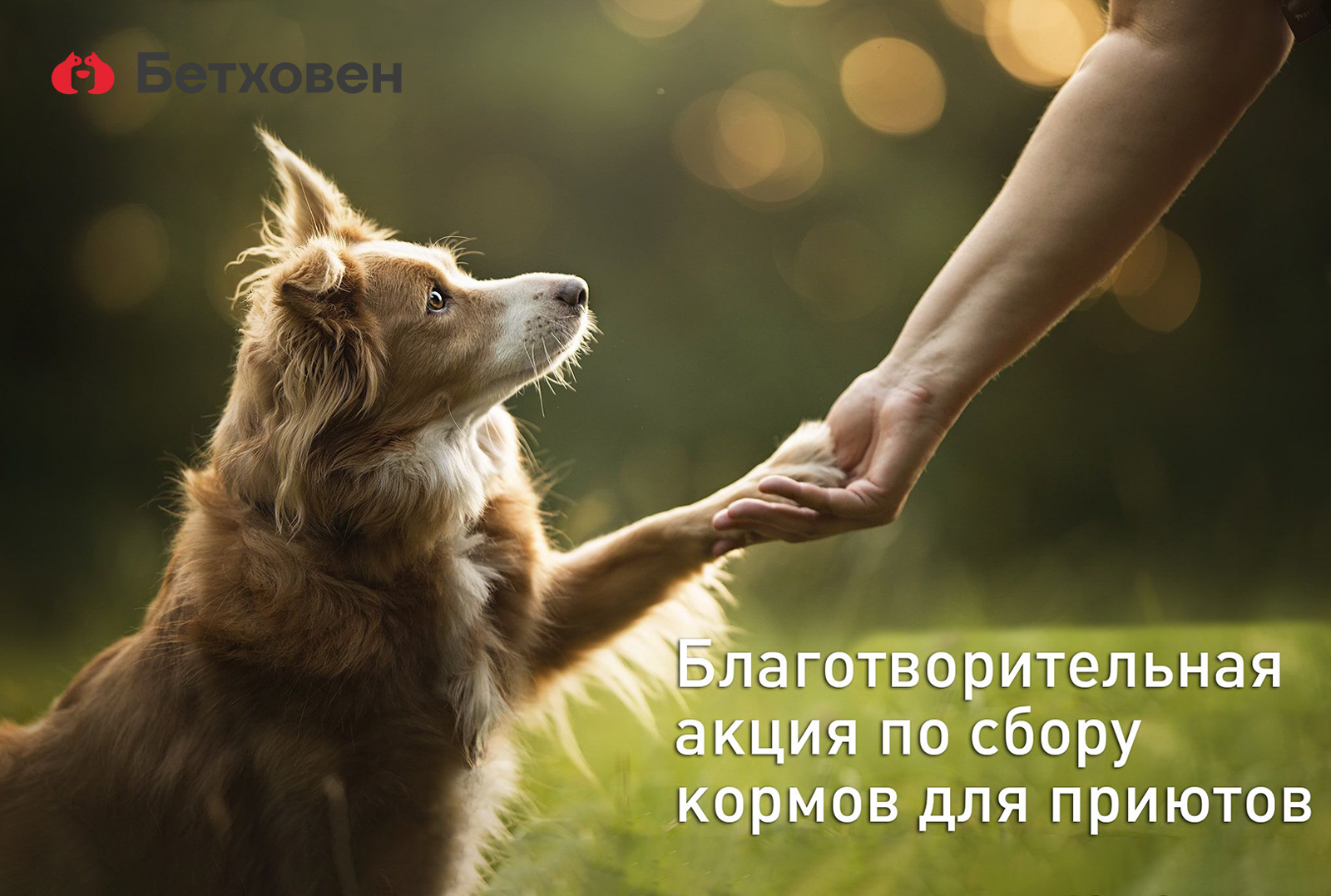 #ДариКормиЛюби!