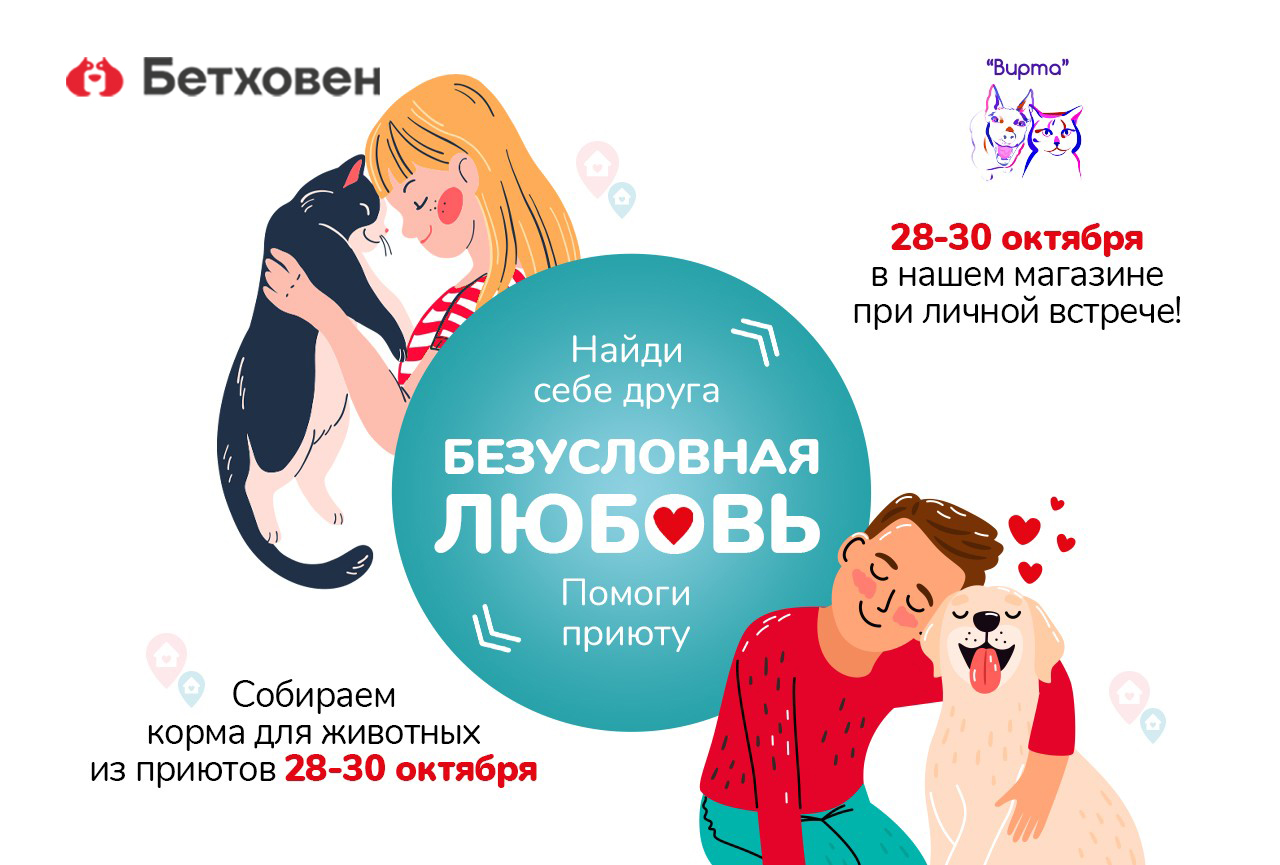 Выставка- пристройство «Найди друга»