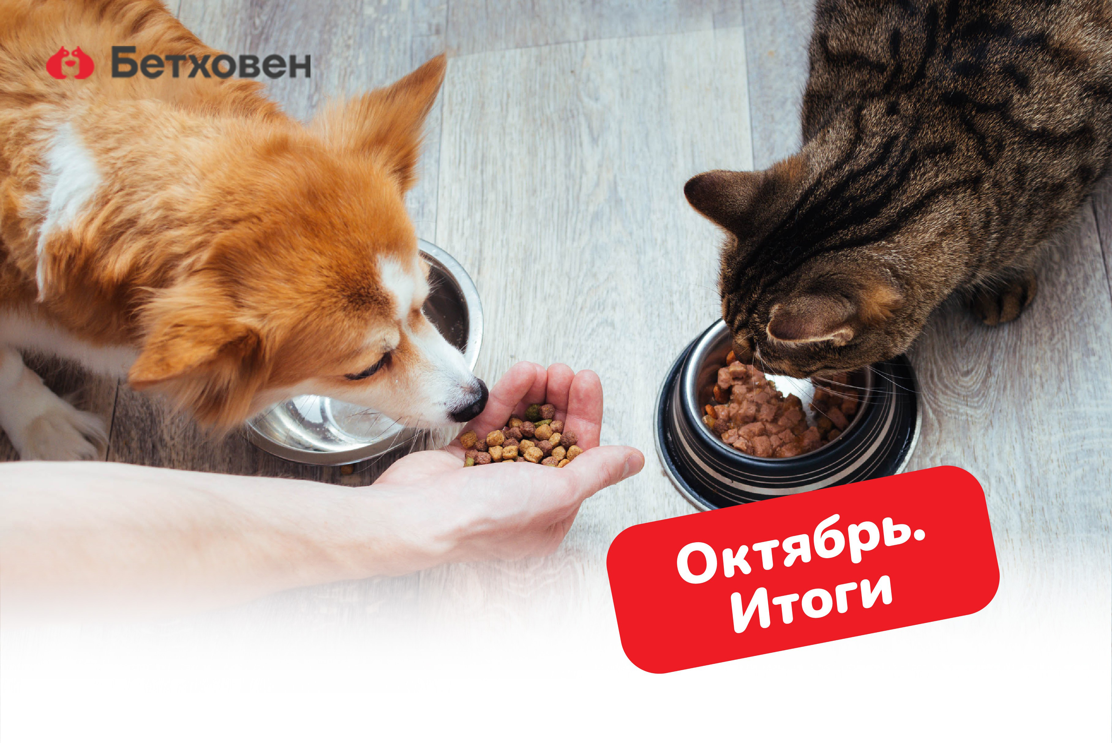 Отчет по благотворительной акции октября