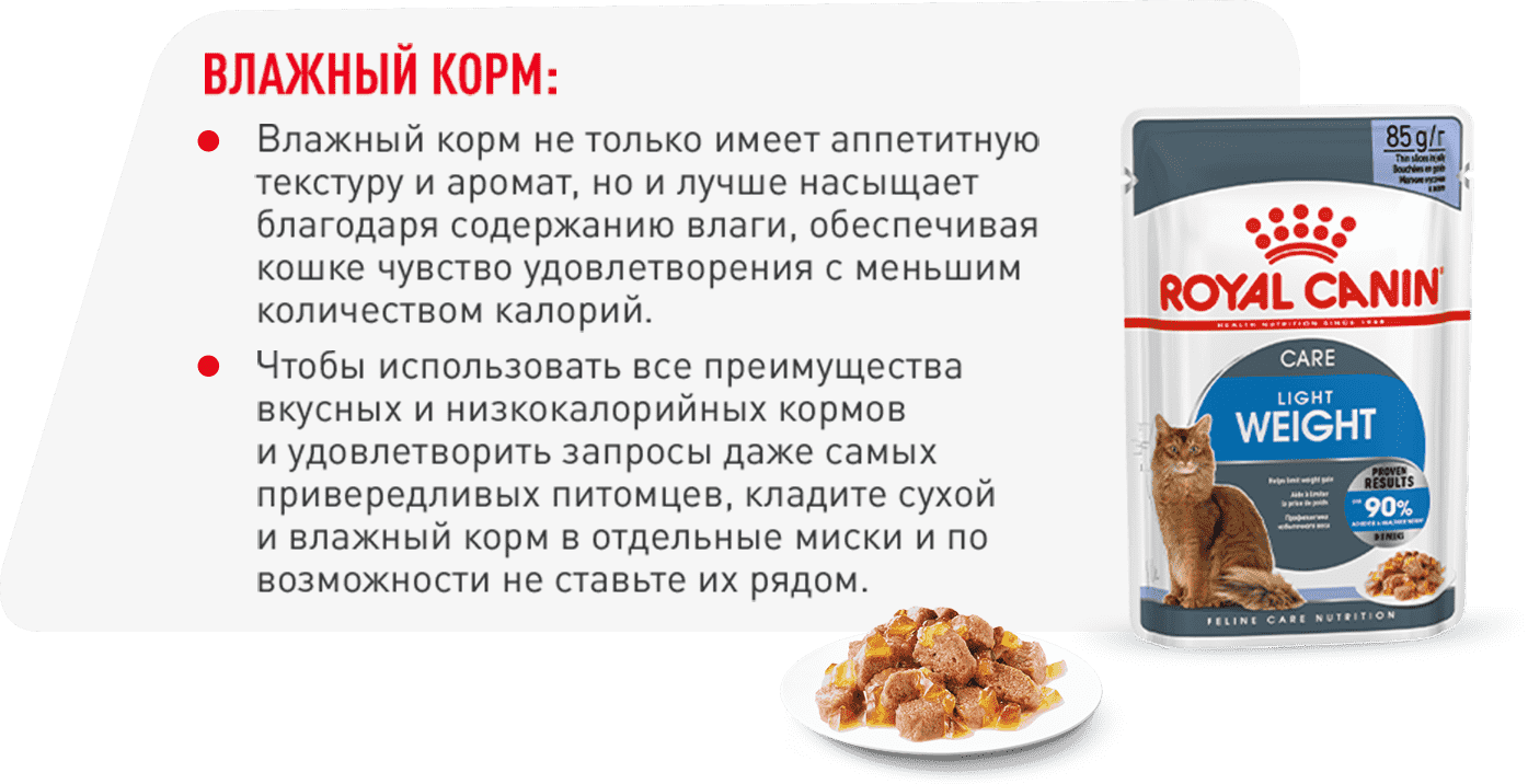 инфо