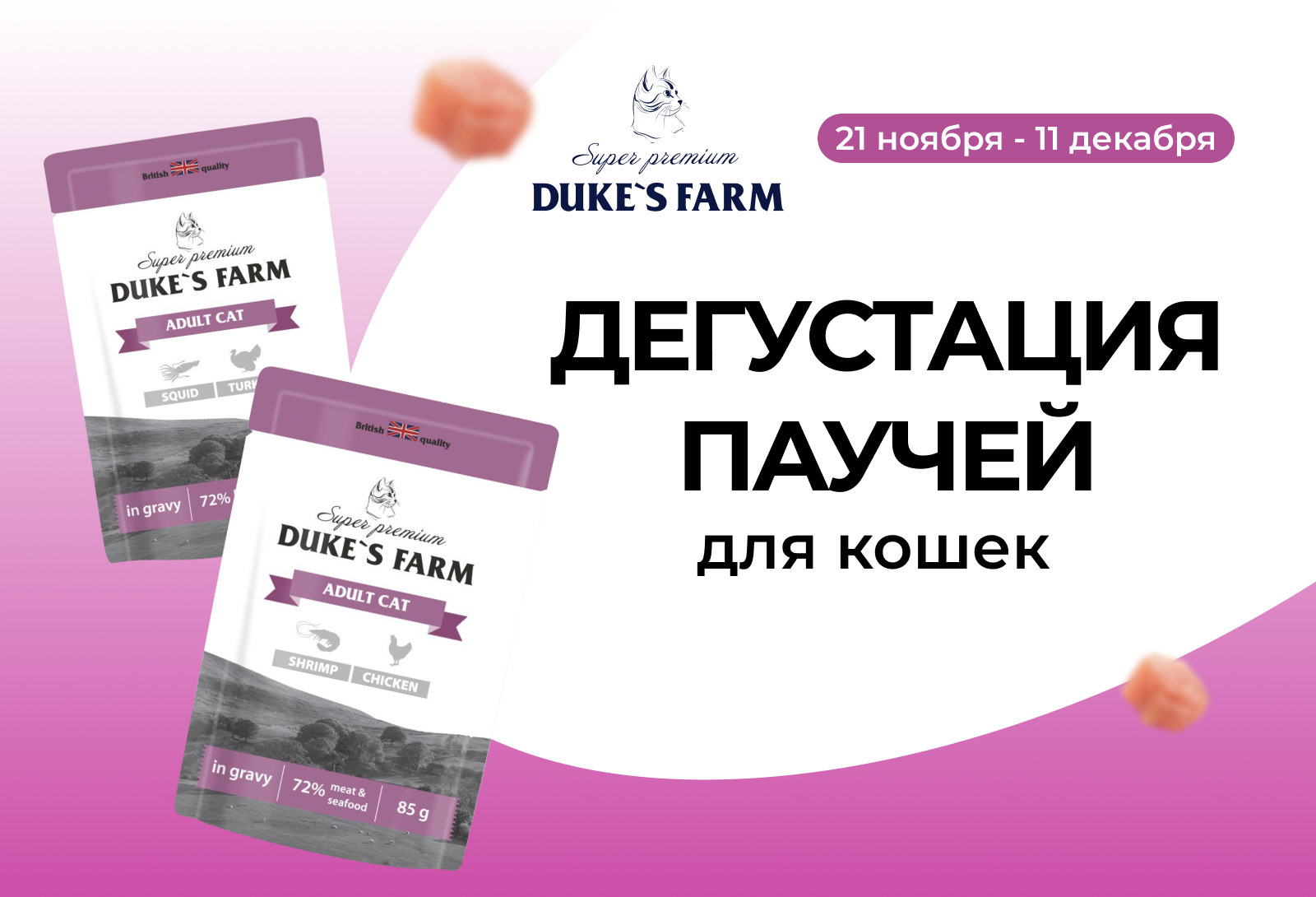 Дегустация влажных кормов для кошек DUKE’S FARM
