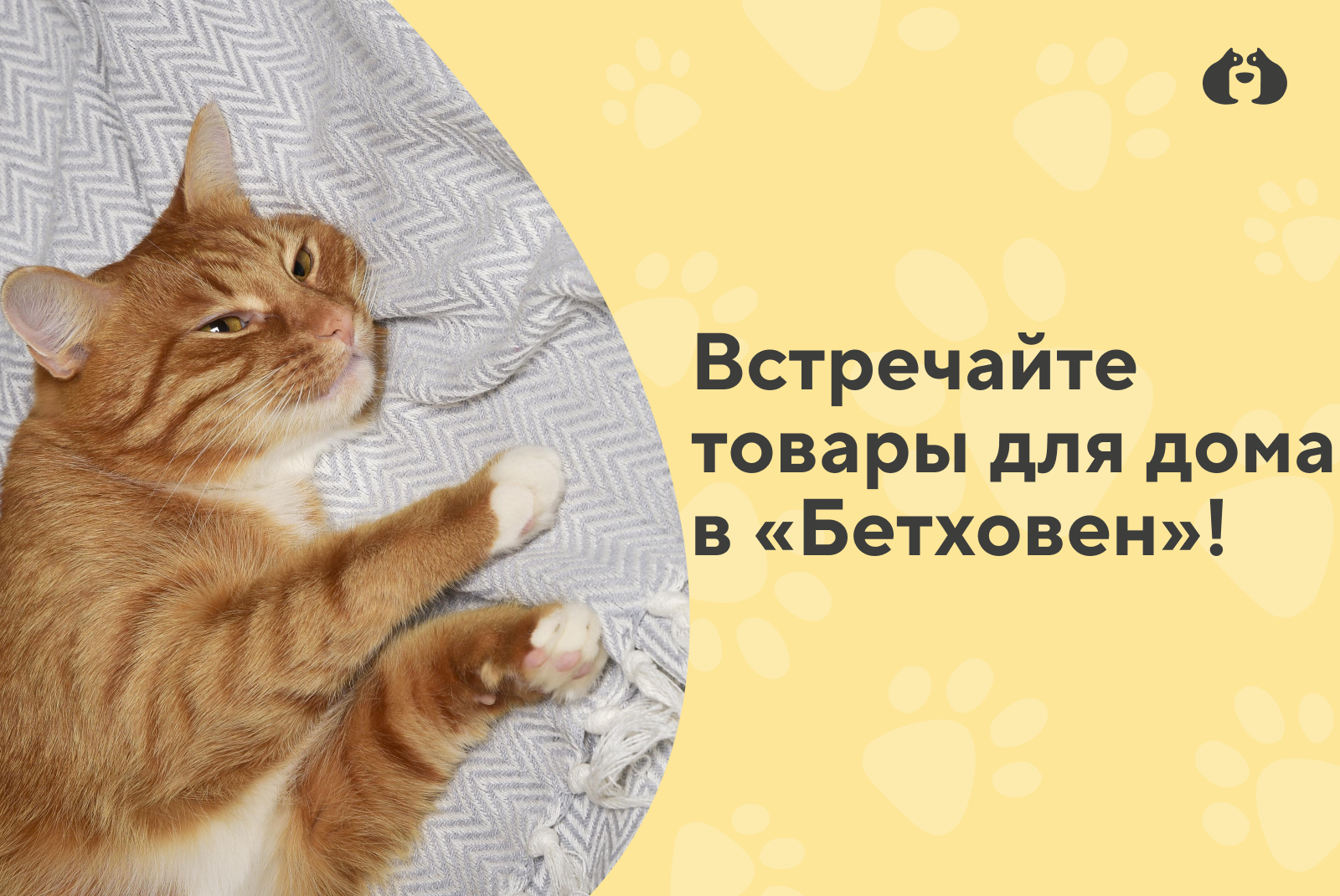 В продаже — новинки для вашего дома!