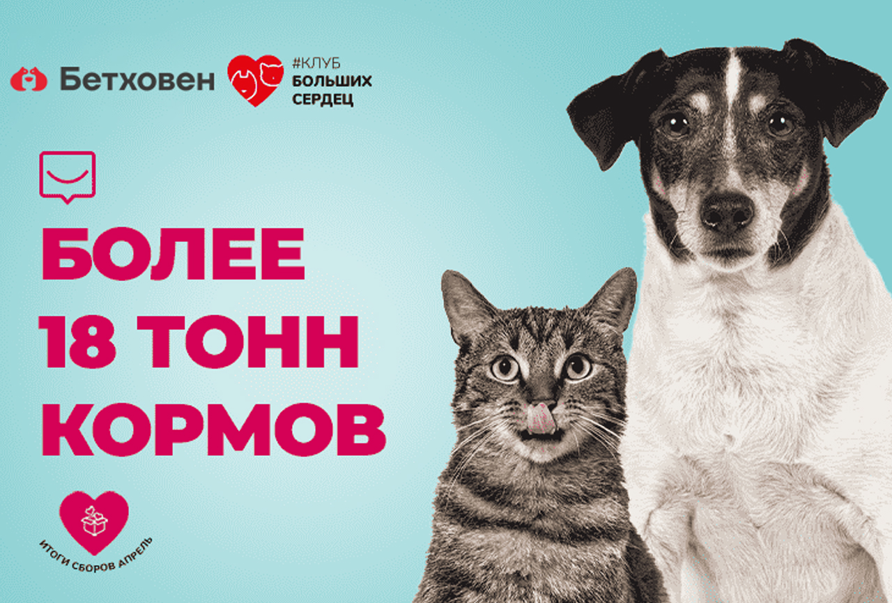 Благотворительная помощь приютам в апреле