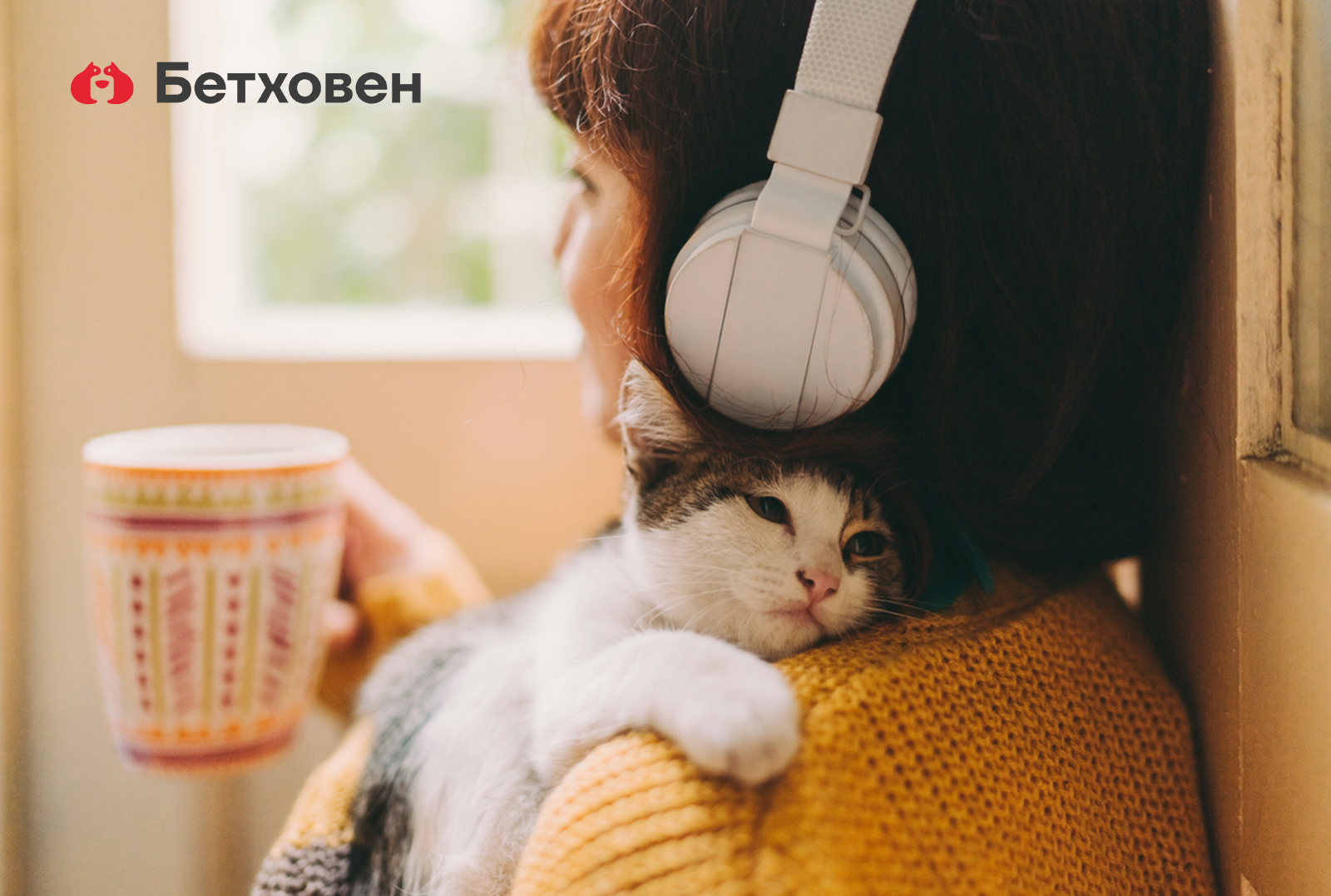 Ученые проверили успокаивающую музыку для кошек