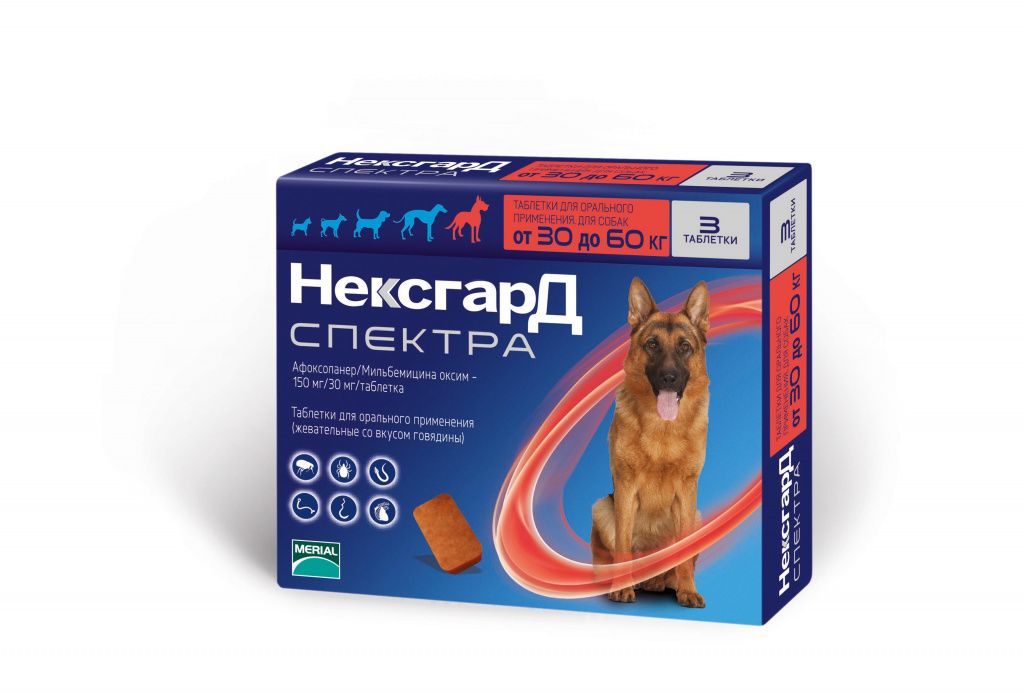Упаковка Нексгрард Спектра 30_60_box.jpg