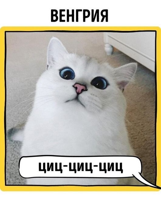 0_b9c0b_19fc0d42_orig.jpg