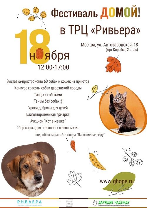 500-giving_hope-8e8fb29fc07c2b1d9c7ee5d778afe4d8.jpg