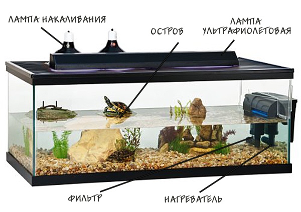 Аквариум для черепахи