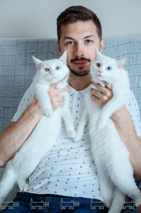 _normal.jpg