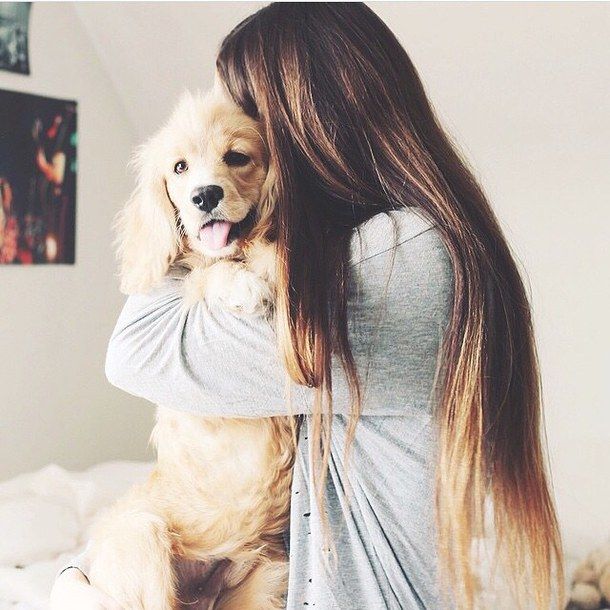 cute-dog-fluffy-girl-Favim.com-2859138.jpg